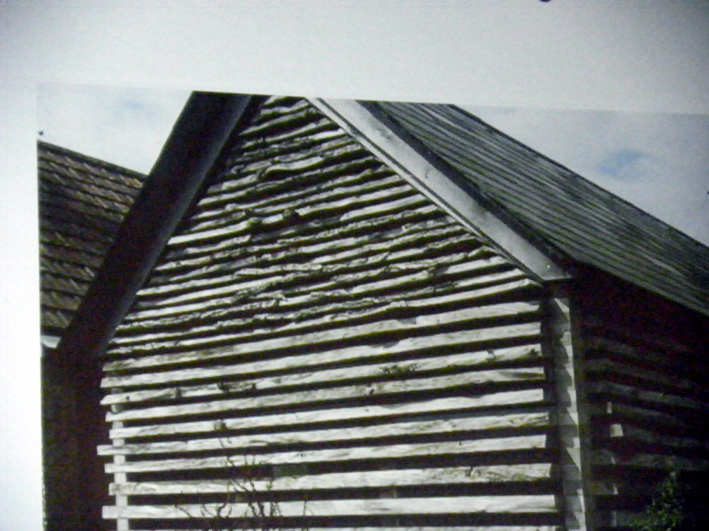 102_6982_jpg-1277073988
