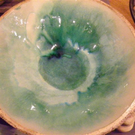 102_6103_jpg-1277075890
