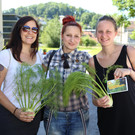 probier-amol-Sommerfest