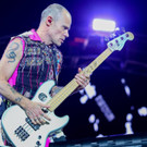 davidbitzan-nova-tag4-rhcp-10.jpg