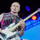 davidbitzan-nova-tag4-rhcp-13.jpg