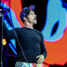 davidbitzan-nova-tag4-rhcp-16.jpg