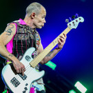 davidbitzan-nova-tag4-rhcp-19.jpg