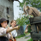 Bild 3.jpg