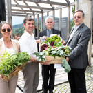 Querbeet-Festival 2016