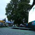 IMG_9763.JPG