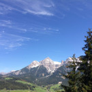 IMG_4611.jpg