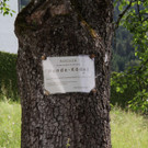Hundeköder-Schilder