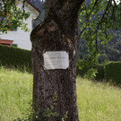 IMG_9197.JPG