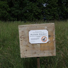 IMG_9207.JPG