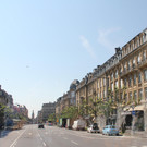 IMG_7437.JPG
