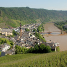 IMG_7958.JPG