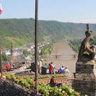 IMG_7964.JPG