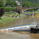 IMG_7993.JPG