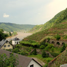 IMG_8118.JPG