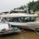 IMG_8336.JPG