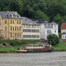 IMG_8340.JPG