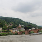 IMG_8348.JPG