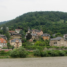 IMG_8356.JPG
