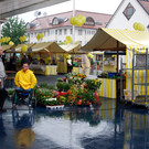 Lustenauer Jubiläumsmarkt