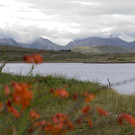 Galway WAW Failte Ireland Sinead McCarthy 2.jpg