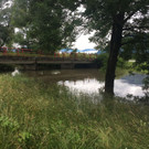 Hochwasser in Koblach