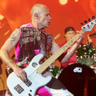 Germany_Rock_Festival_Lightning.jpg