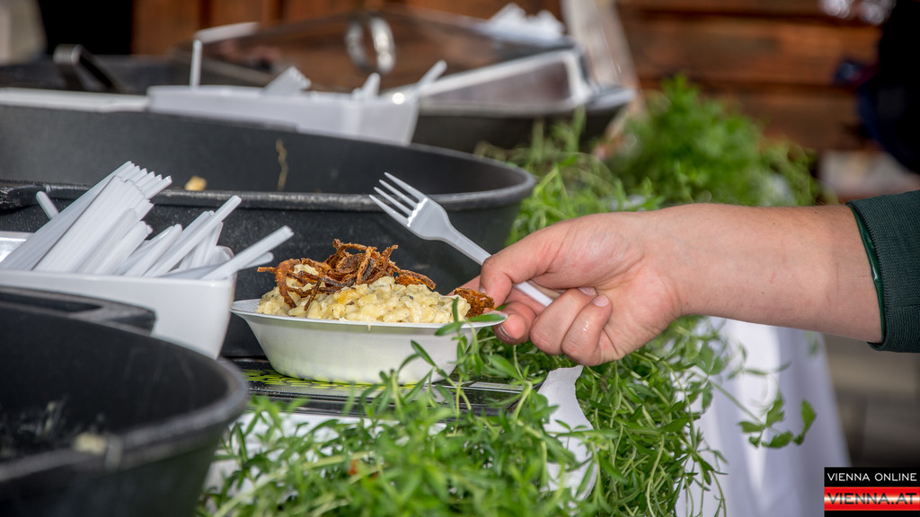 WU Sommerfest - 16_06_2016-21.jpg