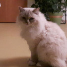 Spooky und Susi