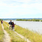 Hochwasser in Fußach
