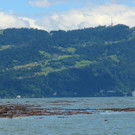 IMG_9251.JPG