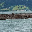 IMG_9249.JPG