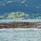 IMG_9248.JPG