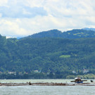 IMG_9245.JPG