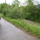 IMG_9383.JPG
