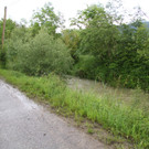 IMG_9385.JPG