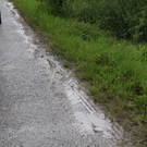 IMG_9387.JPG