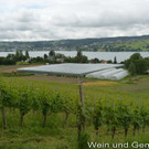 Reichenau 07.jpg