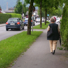 Problem Rohrbachstraße