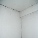 54-Risse-DG.jpg