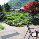 Garten 3.JPG