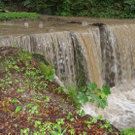 DSC06874_JPG-1277113481