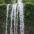 DSC06879_JPG-1277113541