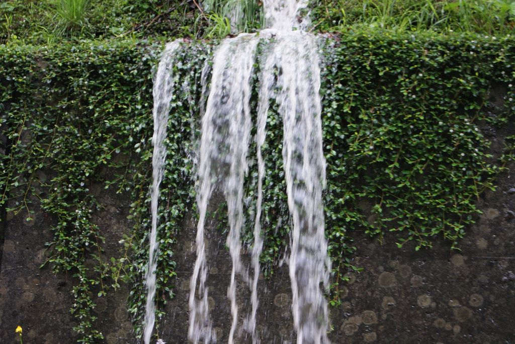 DSC06879_JPG-1277113541