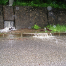 DSC06880_JPG-1277113566