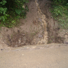 DSC06881_JPG-1277113599