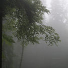 DSC06883_JPG-1277113643