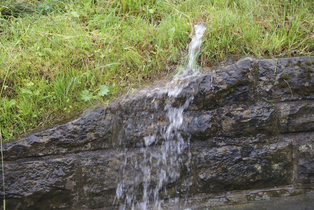 DSC06885_JPG-1277113679