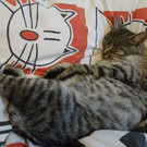 DSC02751.JPG