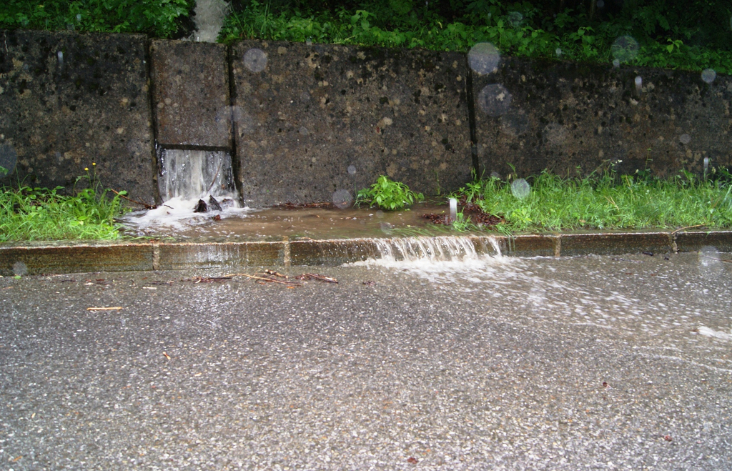 DSC06880.JPG